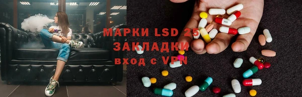 ГАЛЛЮЦИНОГЕННЫЕ ГРИБЫ Баксан