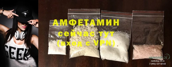 стаф Балахна