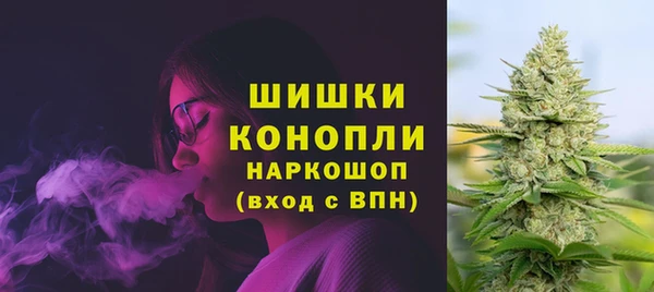 стаф Балахна