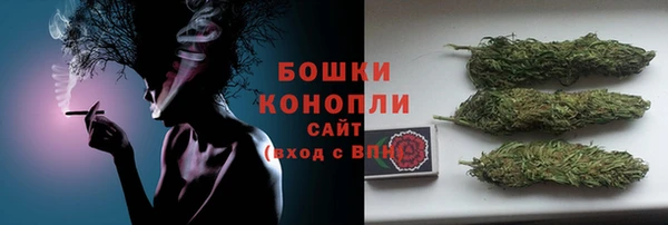 ГАЛЛЮЦИНОГЕННЫЕ ГРИБЫ Баксан