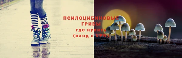 ГАЛЛЮЦИНОГЕННЫЕ ГРИБЫ Баксан