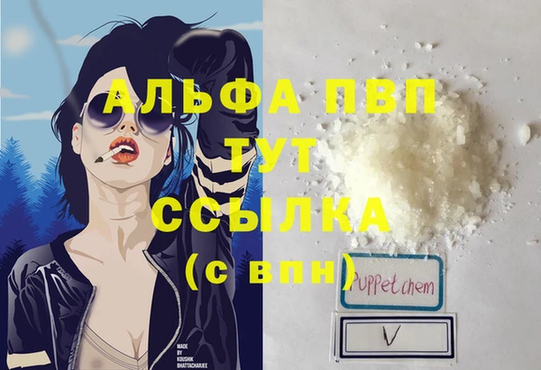 стаф Балахна