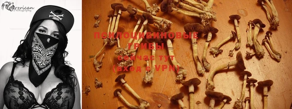 меф Лабытнанги