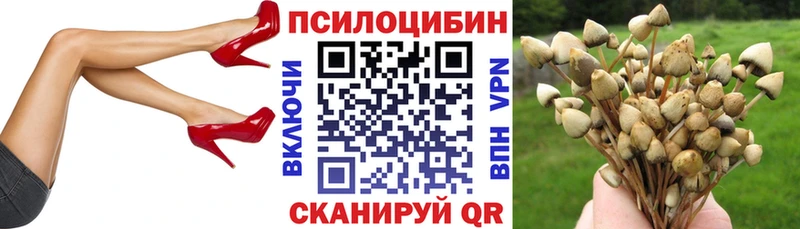 Галлюциногенные грибы мухоморы Вуктыл